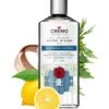 Blue Cedar & Cypress Body Wash -PureVibe Store Body Wash Blue Cedar Cypress 03
