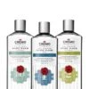 Good Uncommon Scents – Summer Collection -PureVibe Store GUS SummerCollection front