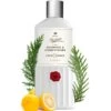 2-in-1 Heritage Green Shampoo & Conditioner -PureVibe Store Hair Shampoo 2 in 1 Heritage Green 02